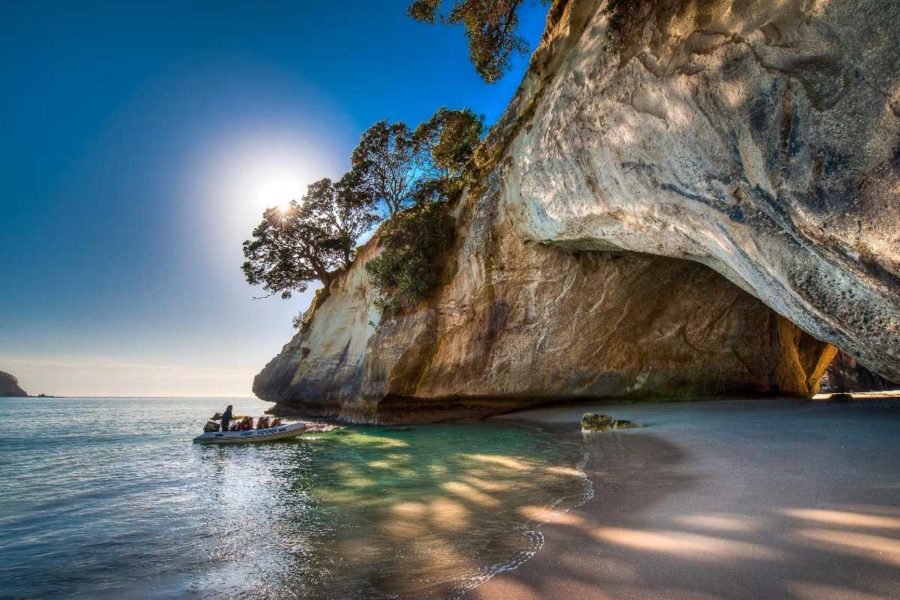 cathedral cove new zealand group tours