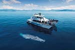 10 Day South Island Luxury Guided Tour