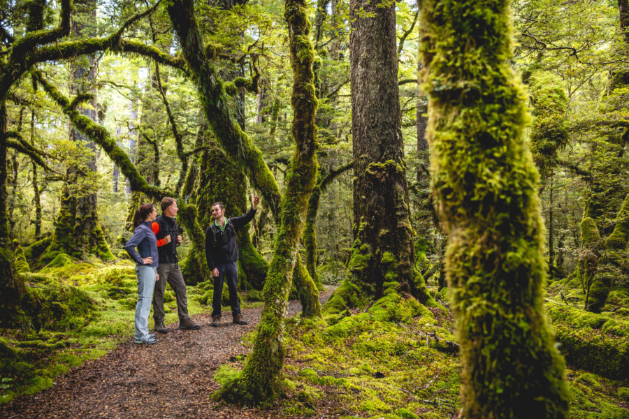 Fiordland Guided Tour New Zealand