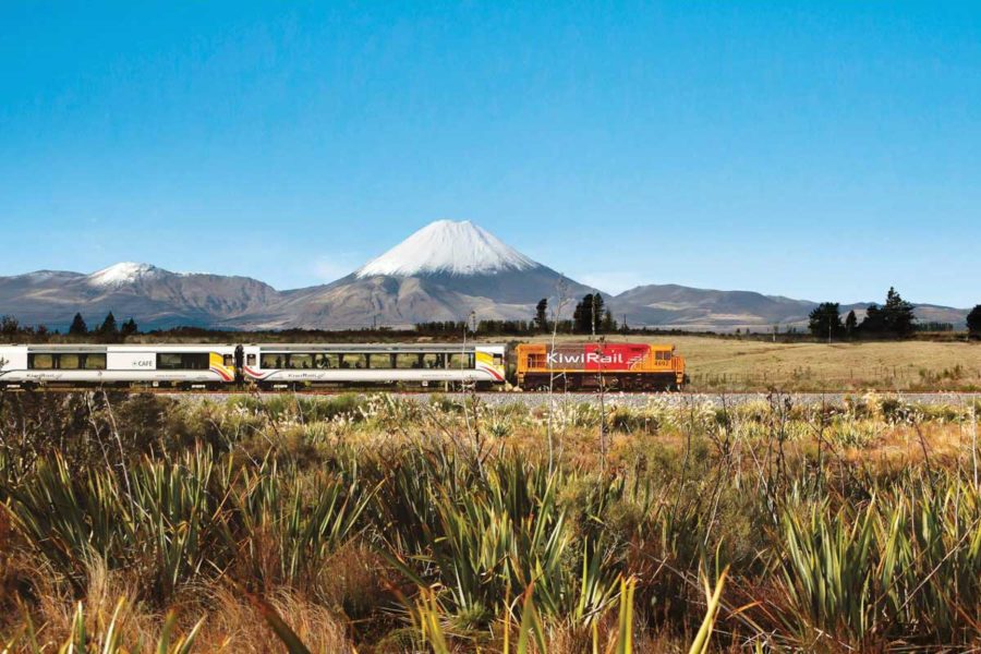 new zealand train