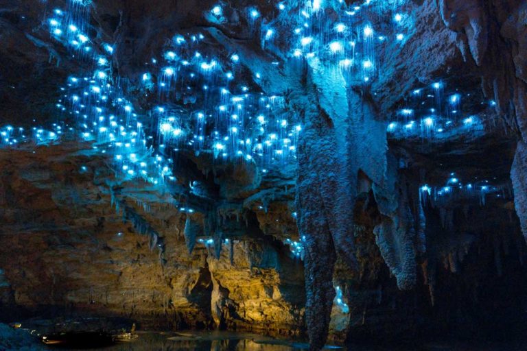 waitomo caves